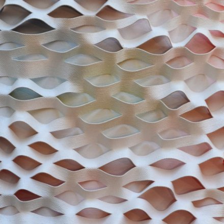 Mesh